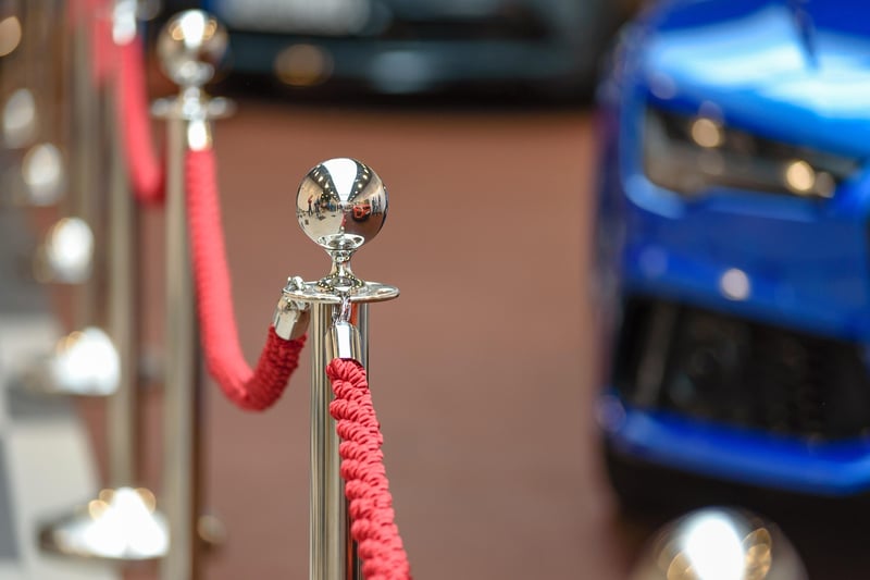 VIP Services